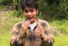Jerhemy Owen Gerak Cepat Pulihkan Hutan Sumatera, Dari Bencana ke Reboisasi Besar