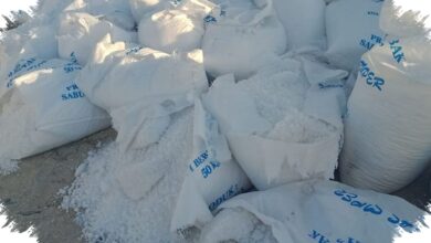Impor Garam Industri Naik Lagi, Target Swasembada 2027 Kian Terancam?