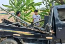 Pikap Angkut 17 Orang Kecelakaan Maut, Ini Aturan Mobil Bak Terbuka Bawa Penumpang