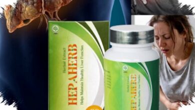 Hepaherb Jadi Pendamping Hati yang Perlu Diingat Penderita Hepatitis