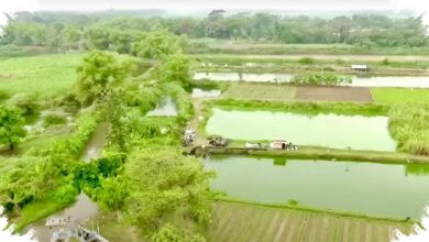 Skema 10 Tahun Jadi Kunci, Bank Tanah Cegah Lahan Reforma Agraria Lepas ke Perusahaan