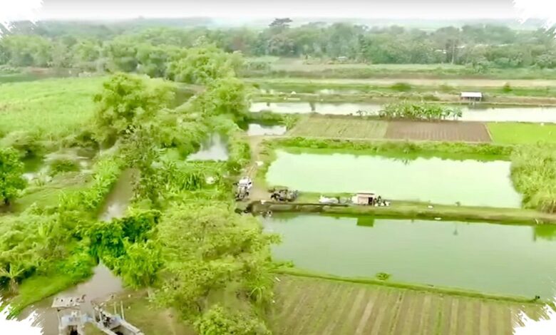 Skema 10 Tahun Jadi Kunci, Bank Tanah Cegah Lahan Reforma Agraria Lepas ke Perusahaan