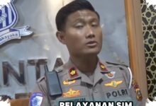 Polresta Denpasar Periksa Anggota Satlantas, Dugaan Pungli SIM Melebar ke Pemeriksaan Internal