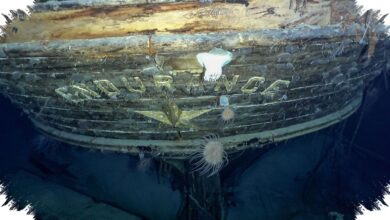 Bangkai Kapal Shackleton Terekam HD, Jejak 64 Tahun di Dasar Laut Terlihat Jelas