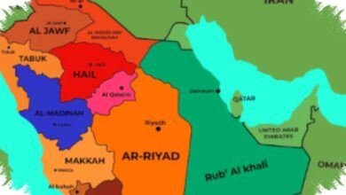 DP World Siapkan Pelabuhan Baru di Fujairah, Jalur Aman di Luar Selat Hormuz