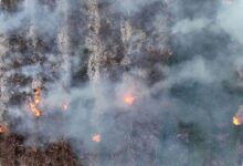 Karhutla Landa Gunung Gombak Ponorogo, 15 Hektare Lahan Hangus dalam 8 Jam