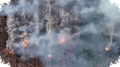 Karhutla Landa Gunung Gombak Ponorogo, 15 Hektare Lahan Hangus dalam 8 Jam