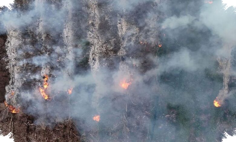 Karhutla Landa Gunung Gombak Ponorogo, 15 Hektare Lahan Hangus dalam 8 Jam