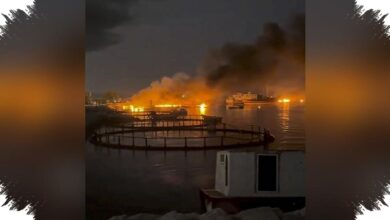 Trump Bandingkan Perang AS-Iran dengan Vietnam, Klaim Serangan Bikin Kekuatan Iran Rontok
