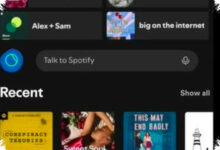 Spotify Uji Coba Talk to Spotify, Pencarian Lagu Kini Bisa Lewat Percakapan