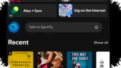 Spotify Uji Coba Talk to Spotify, Pencarian Lagu Kini Bisa Lewat Percakapan