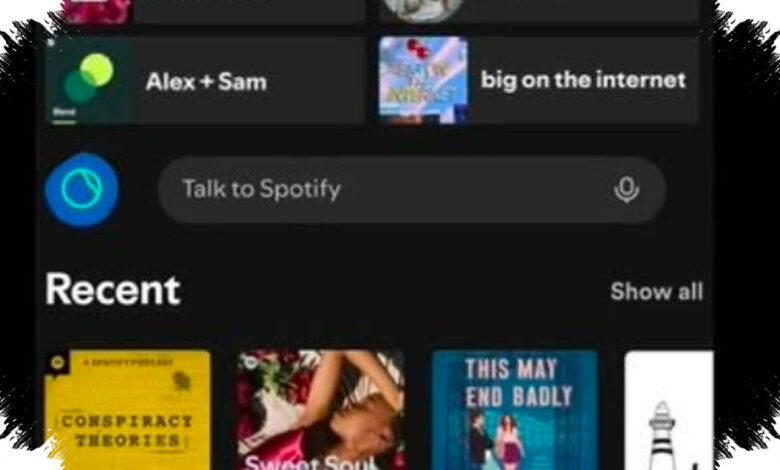 Spotify Uji Coba Talk to Spotify, Pencarian Lagu Kini Bisa Lewat Percakapan