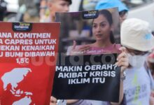Sering Terpapar Berita Krisis Iklim, Ternyata Bisa Memicu Kecemasan dan Tekanan Psikologis