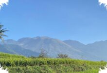 BBKSDA Jabar Pastikan Api di Gunung Guntur Tak Merembet ke Hutan