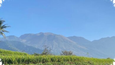 BBKSDA Jabar Pastikan Api di Gunung Guntur Tak Merembet ke Hutan