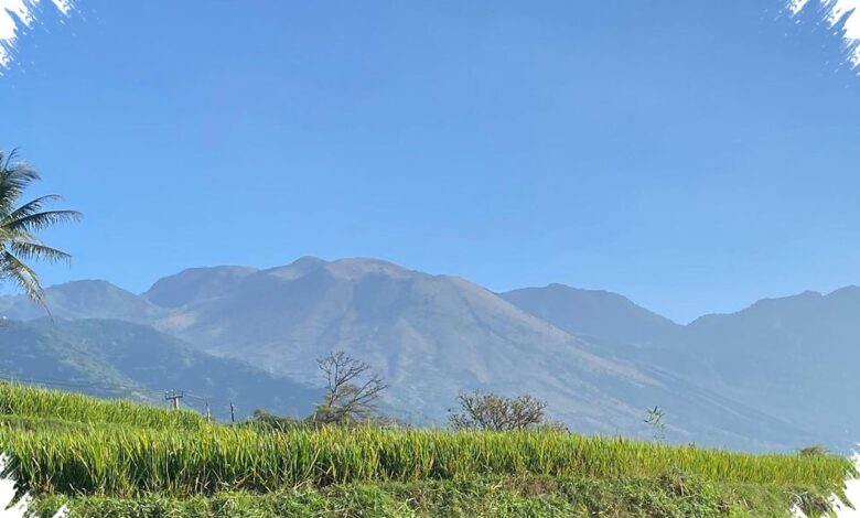 BBKSDA Jabar Pastikan Api di Gunung Guntur Tak Merembet ke Hutan