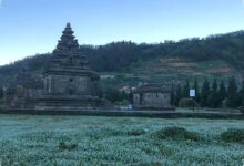 Embun Upas di Dieng Ternyata Dipicu Banyak Hal, Bukan Sekadar Udara Dingin