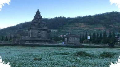 Embun Upas di Dieng Ternyata Dipicu Banyak Hal, Bukan Sekadar Udara Dingin