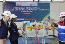 Bio Farma Pakai CNG dari PGN Gagas, Langkah Baru yang Bisa Tekan Biaya Operasional