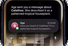 iOS 27 Public Beta Resmi Dibuka, Siri AI Jadi Senjata Utama Apple