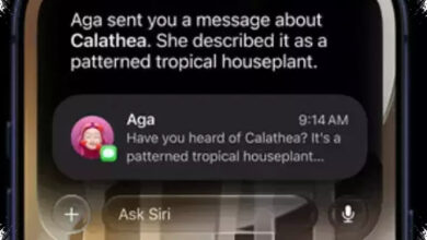 iOS 27 Public Beta Resmi Dibuka, Siri AI Jadi Senjata Utama Apple
