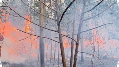 Karhutla Kalsel Kian Meluas, Ribuan Hotspot Picu Status Siaga di Banyak Wilayah