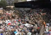 Pemerintah Percepat Waste to Energy, Indonesia Didorong Keluar dari Darurat Sampah