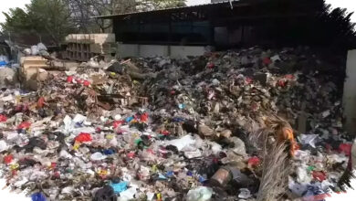 Pemerintah Percepat Waste to Energy, Indonesia Didorong Keluar dari Darurat Sampah