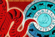 Ramalan 12 Shio Hari Ini 16 Juli 2026, Komunikasi Jadi Kunci untuk Banyak Zodiak Tiongkok