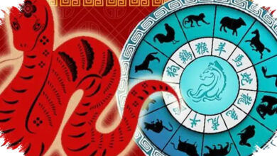 Ramalan 12 Shio Hari Ini 16 Juli 2026, Komunikasi Jadi Kunci untuk Banyak Zodiak Tiongkok