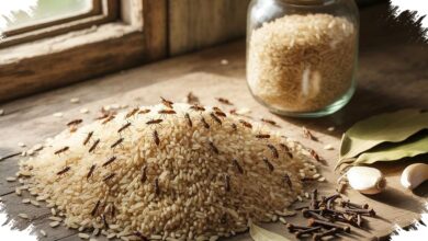 7 Cara Ampuh Mengatasi Kutu Beras, dari Rempah Dapur hingga Suhu Ekstrem
