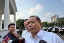 Koperasi Tak Lagi Cuma Simpan Pinjam, Sekarang Kelola PLTS dan Pabrik CPO