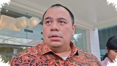 Danantara Ajak Investor Asing Masuk ke Pusat Finansial Bali, Abu Dhabi Jadi Acuan