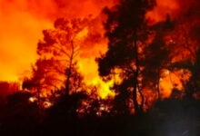 Prancis Dikepung Kebakaran Hutan, Hampir 11.000 Hektare Lahan Sudah Hangus