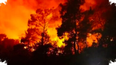 Prancis Dikepung Kebakaran Hutan, Hampir 11.000 Hektare Lahan Sudah Hangus