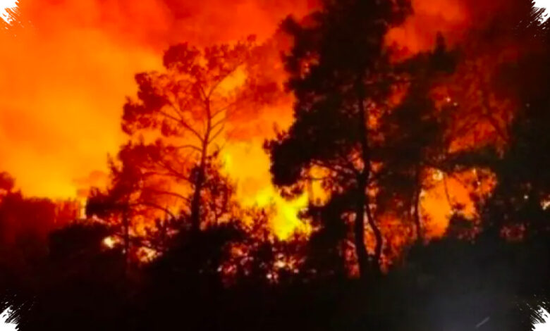 Prancis Dikepung Kebakaran Hutan, Hampir 11.000 Hektare Lahan Sudah Hangus