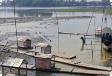 Situ Gede Tasikmalaya Menyusut Drastis, Wisata Air Mati dan Sawah Terancam