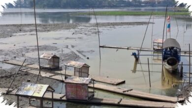 Situ Gede Tasikmalaya Menyusut Drastis, Wisata Air Mati dan Sawah Terancam