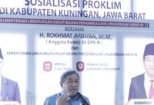 Pasar Karbon Indonesia Mulai Bergerak, DPR Tekankan Manfaatnya Harus Sampai ke Warga Lokal