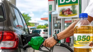 B50 Didorong Percepat Swasembada Energi, Sawit Petani Jadi Andalan