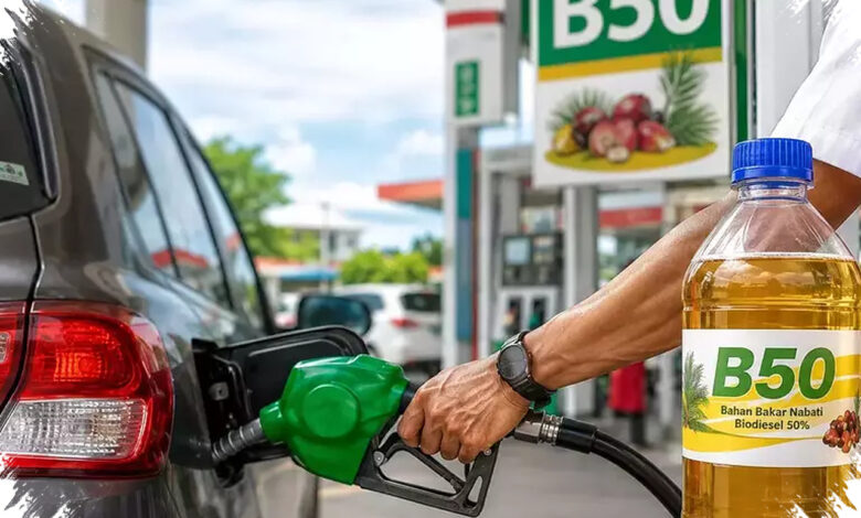 B50 Didorong Percepat Swasembada Energi, Sawit Petani Jadi Andalan