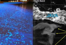 Laut Susu yang Terlihat dari Satelit Masih Menyimpan Misteri di Balik Cahayanya