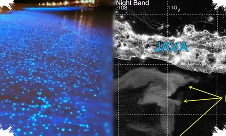Laut Susu yang Terlihat dari Satelit Masih Menyimpan Misteri di Balik Cahayanya