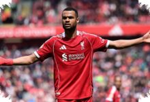 Tottenham Mengincar Cody Gakpo, Liverpool Tegas Menutup Pintu Penjualan
