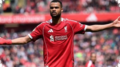 Tottenham Mengincar Cody Gakpo, Liverpool Tegas Menutup Pintu Penjualan