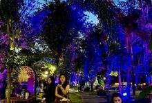 Hutan Kota GBK Berubah Jadi Wellness Garden Raksasa, Ada Yoga hingga Konser