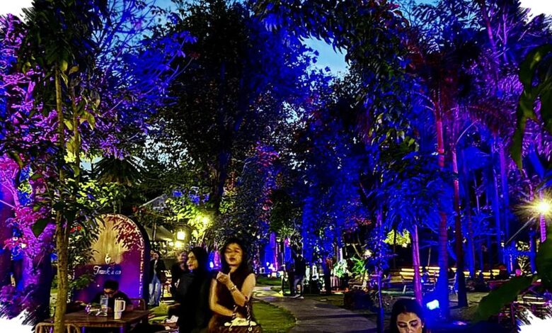 Hutan Kota GBK Berubah Jadi Wellness Garden Raksasa, Ada Yoga hingga Konser