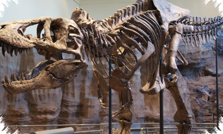 Dari Tulang Raksasa hingga Dinosauria, Begini Manusia Akhirnya Memahami Dinosaurus