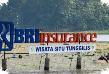 Laba BRINS Tembus Rp674,75 Miliar, Solvabilitas Tetap Hampir 3 Kali Batas Minimum