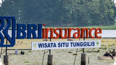 Laba BRINS Tembus Rp674,75 Miliar, Solvabilitas Tetap Hampir 3 Kali Batas Minimum